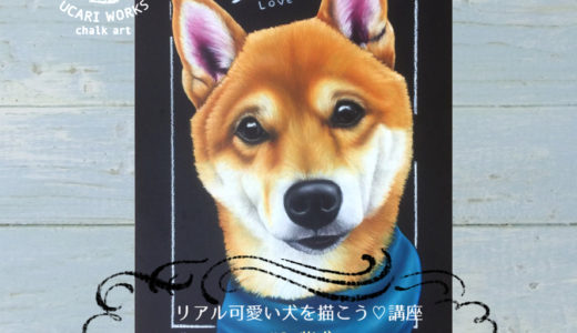 【６月】リアル可愛い犬を描こう講座 #2 柴犬　開催しました！