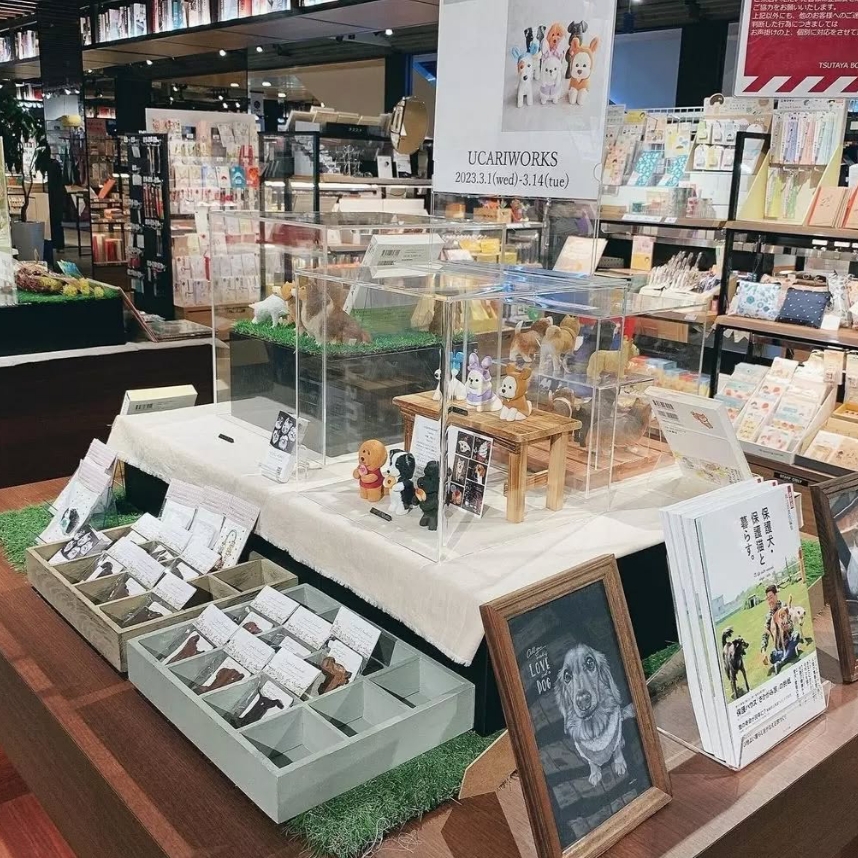 犬展　TSUTAYA