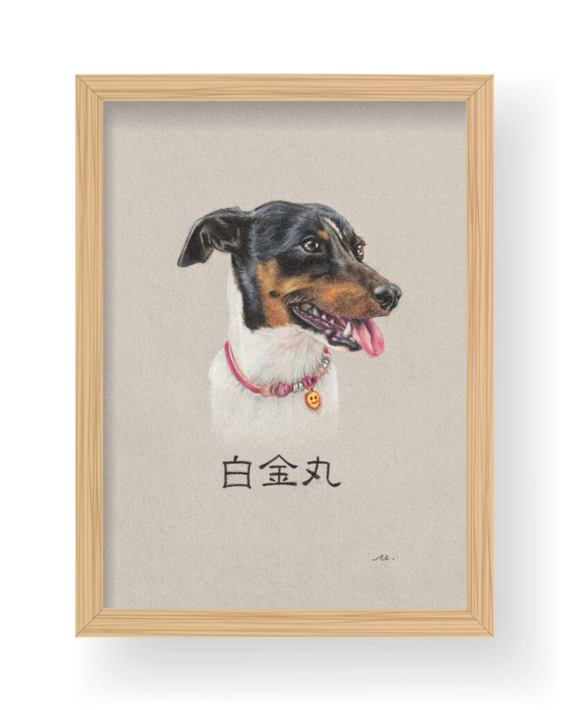 色鉛筆画 | UCARI WORKS