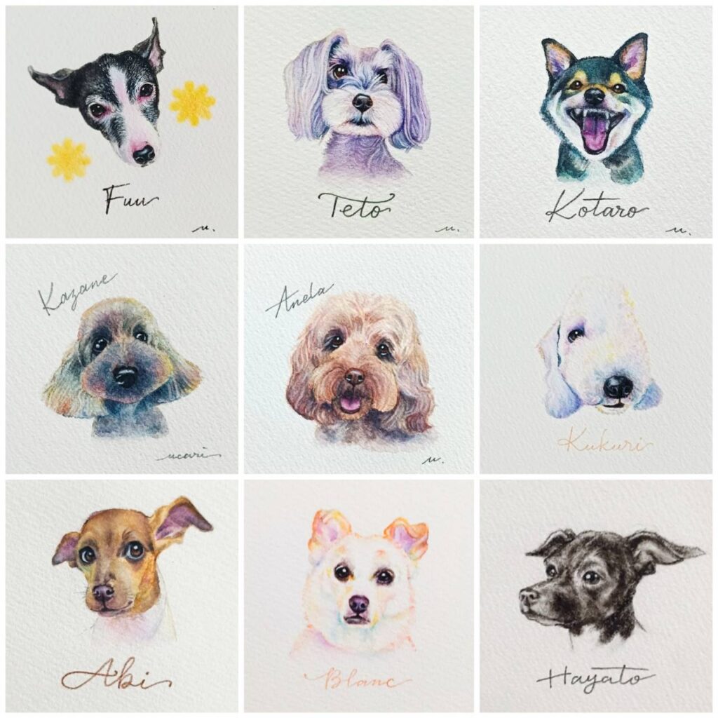 色鉛筆画 犬の似顔絵 水彩色鉛筆