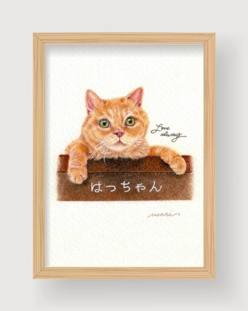 色鉛筆画 | UCARI WORKS