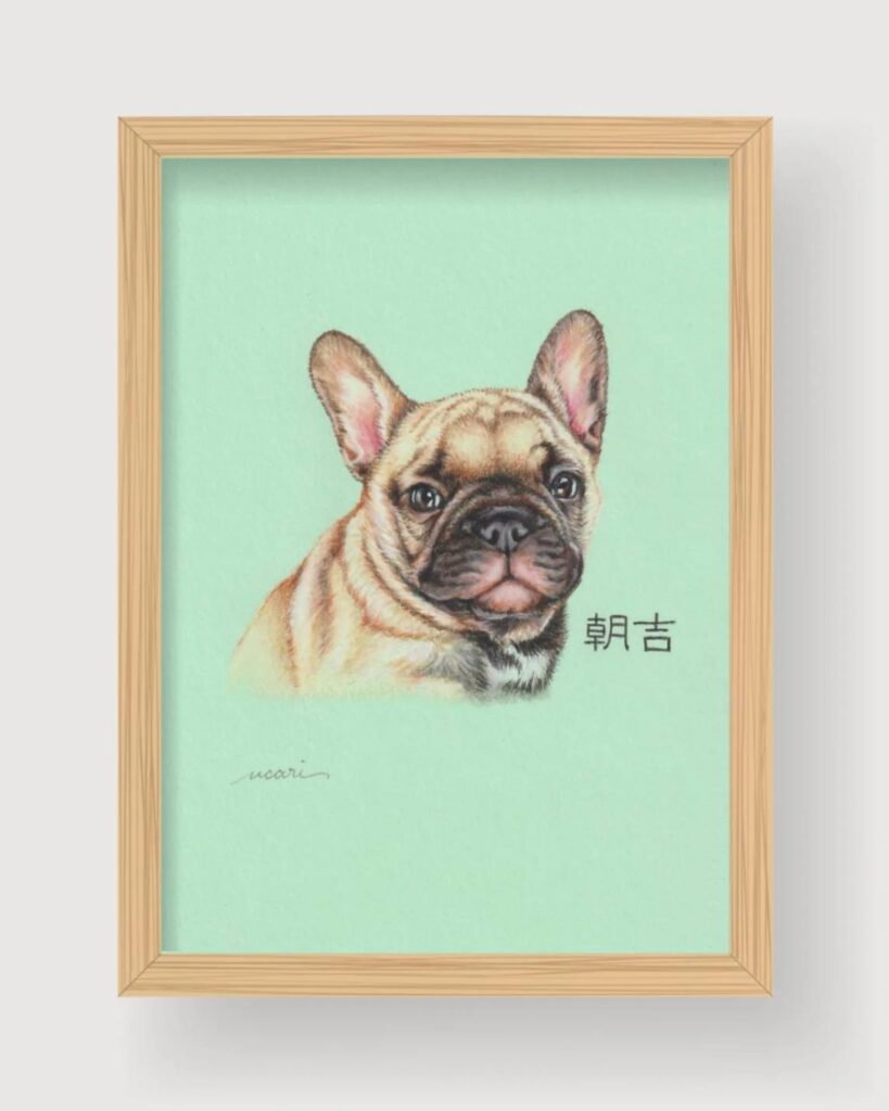 色鉛筆画 | UCARI WORKS